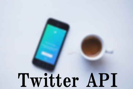twitter,API,申請,審査,300文字